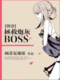 拯救袍灰BOSS