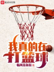 我真的在打篮恩